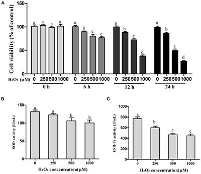 Green Tea Polyphenols Alleviate Hydrogen Peroxide-Induced Oxidative Stress, Inflammation, and Apoptosis in Bovine Mammary Epithelial Cells by Activating ERK1/2–NFE2L2–HMOX1 Pathways